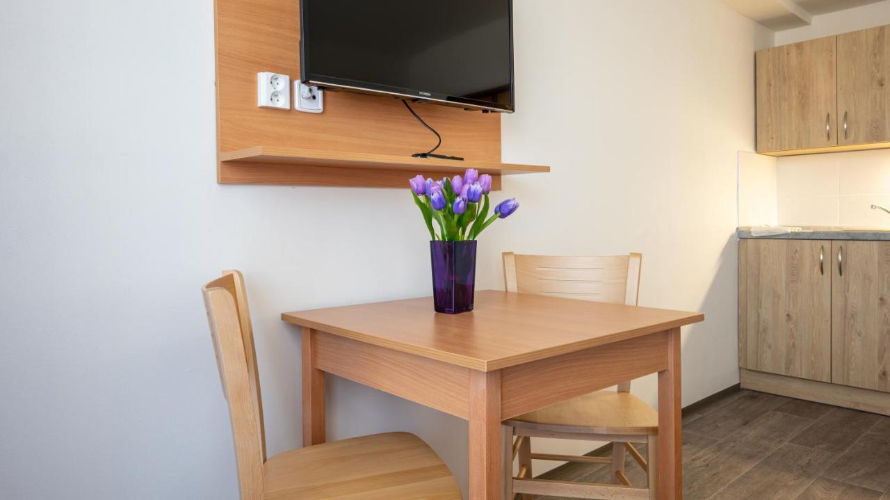 Apartmany A Studia Zamecky Park Літвінов Екстер'єр фото
