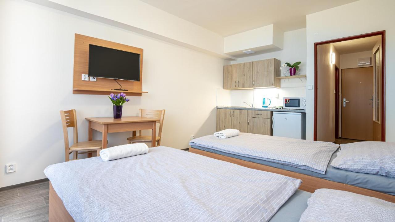 Apartmany A Studia Zamecky Park Літвінов Екстер'єр фото